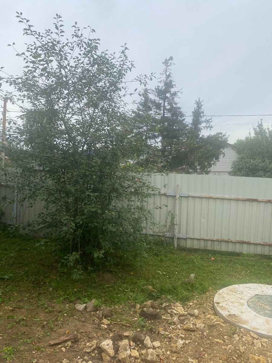 Фото не полностью Так уж получилось.