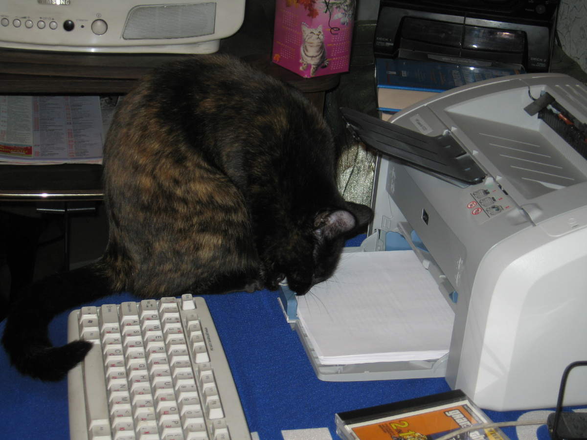 Фотография автора