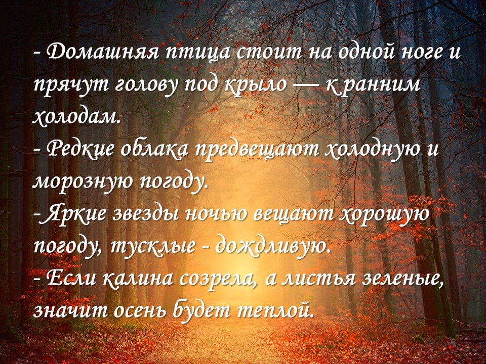 Долгосрочный прогноз погоды по народным приметам