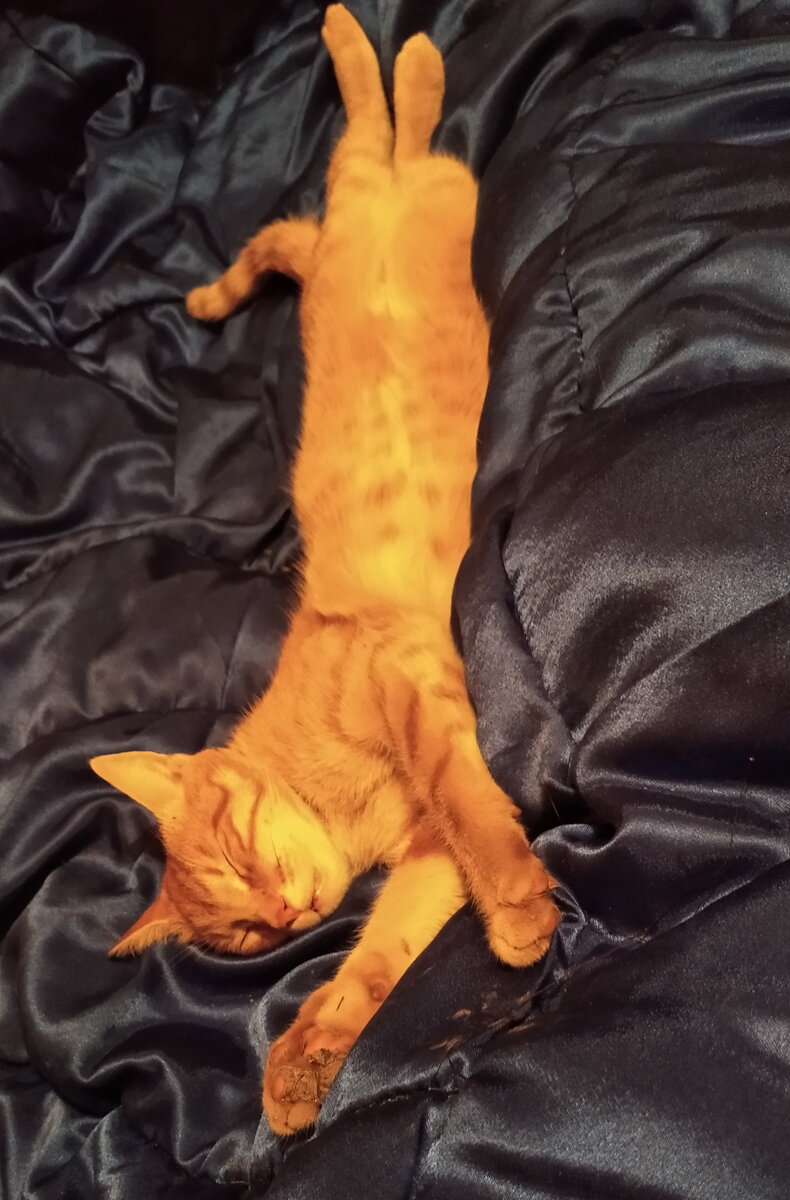 Личное  фото.