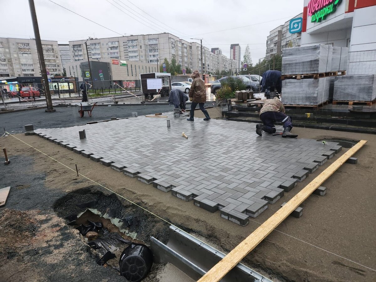    Скульптура тигра украсит Почтовую площадь в ПетрозаводскеАртур Парфенчиков/ВК