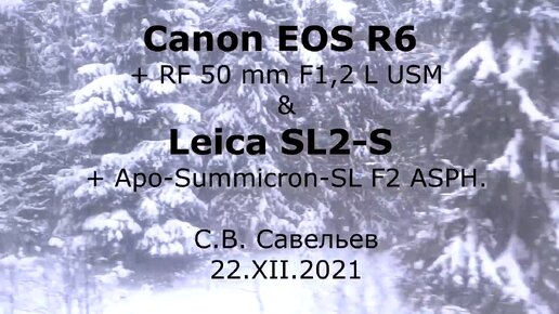 С.В. Савельев. Canon EOS R6 и Leica SL2-S - [20211222]