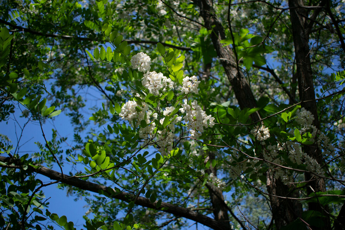 Фотография автора статьи. 