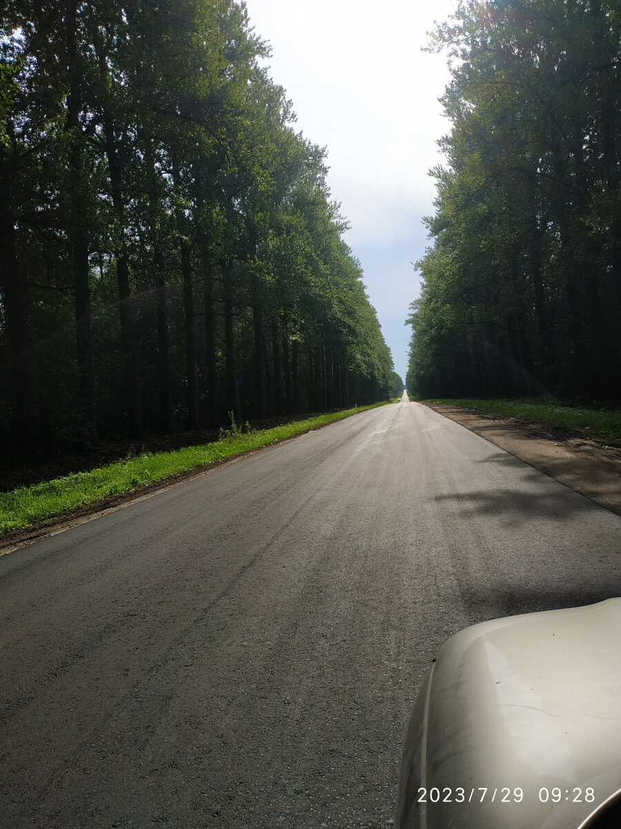 дорога от трассы МСК-Питер до села Медное