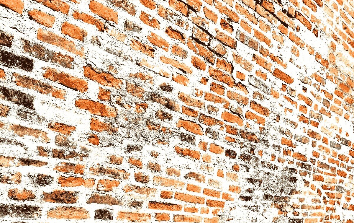 Стена. Фотография из личного архива автора 