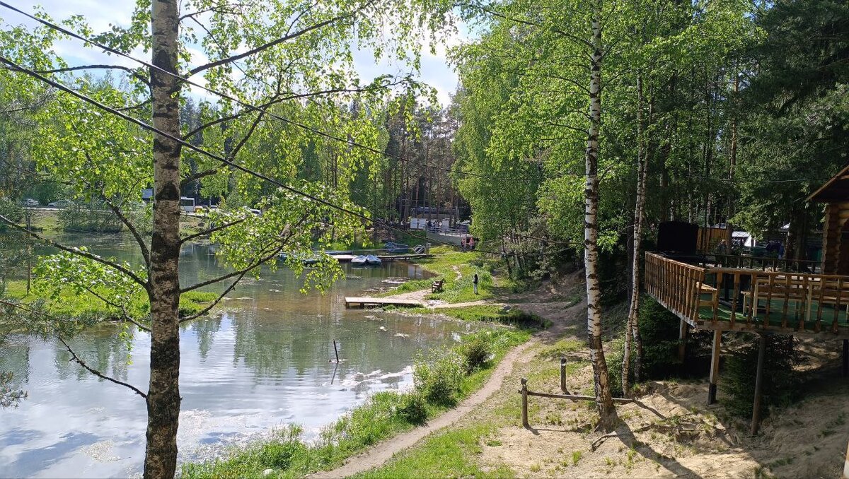 Красота и чистый воздух. Фото автора канала "Питер на все случаи жизни "