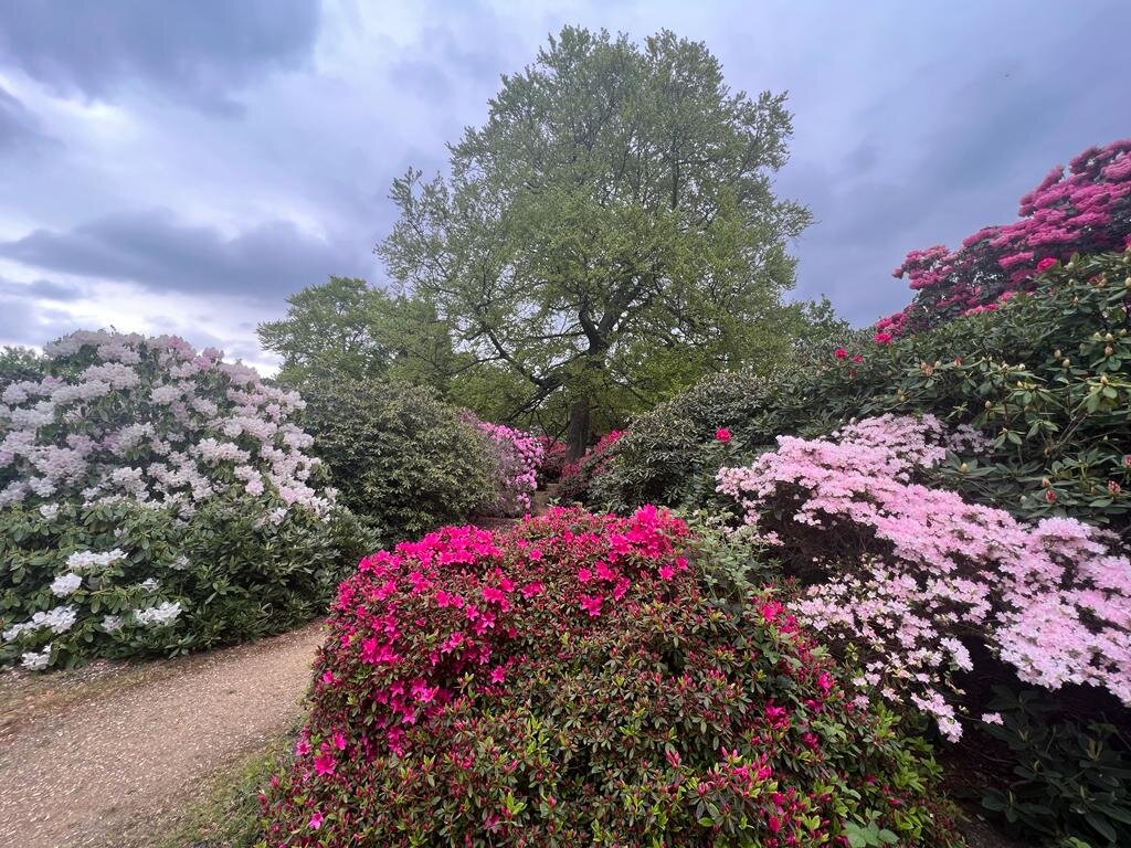 Парк Лэнгли, 2021