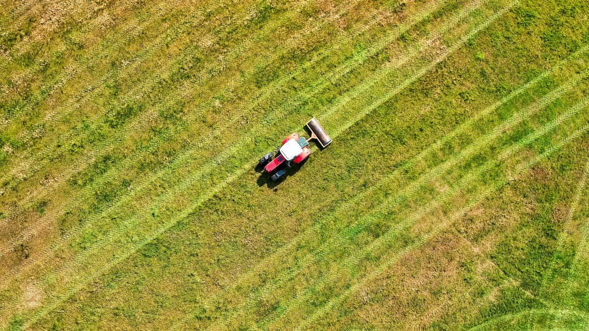    Фото: unsplash.com. Анатолий Пак