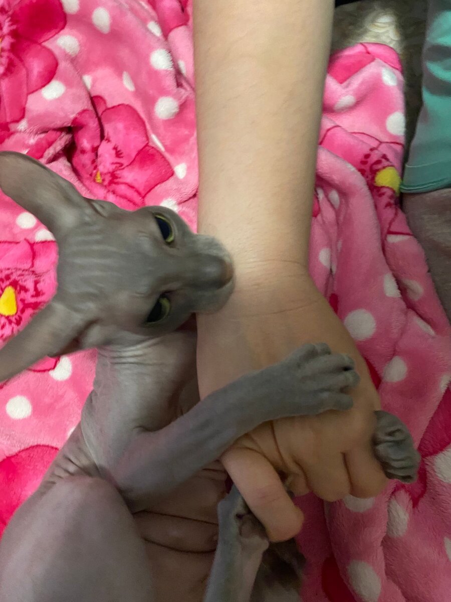 А зубы то помнят, кусь, царап , мягко 