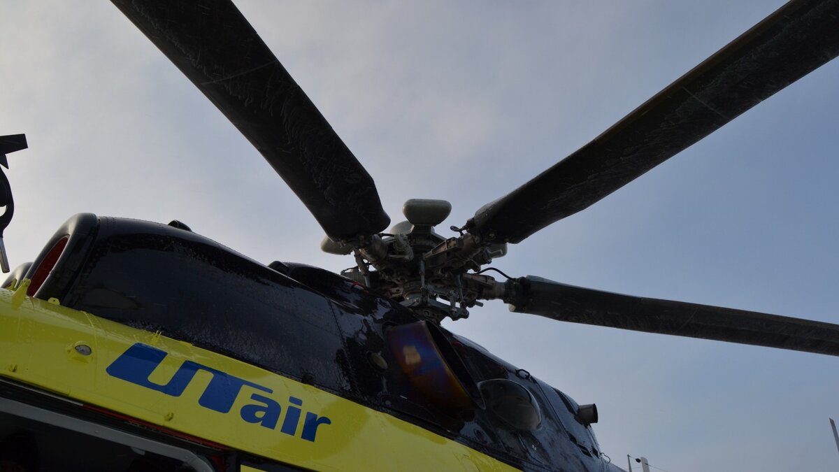     Пока тюменские дачники и отдыхающие стоят в километровых пробках на выезде из города, на городском стадионе «Геолог» проходит праздник по безопасности дорожного движения #ТюменьсГИБДД.