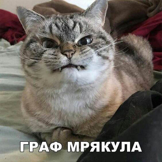 Взято в интернете