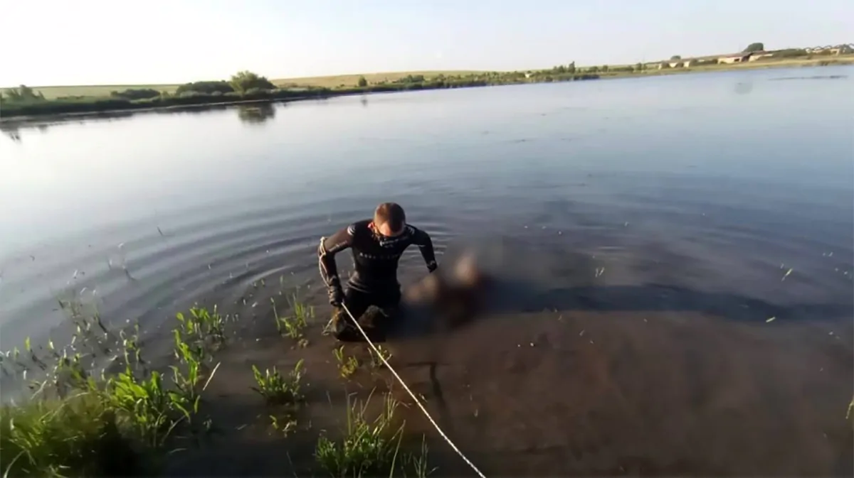 Аряшский пруд Саратов
