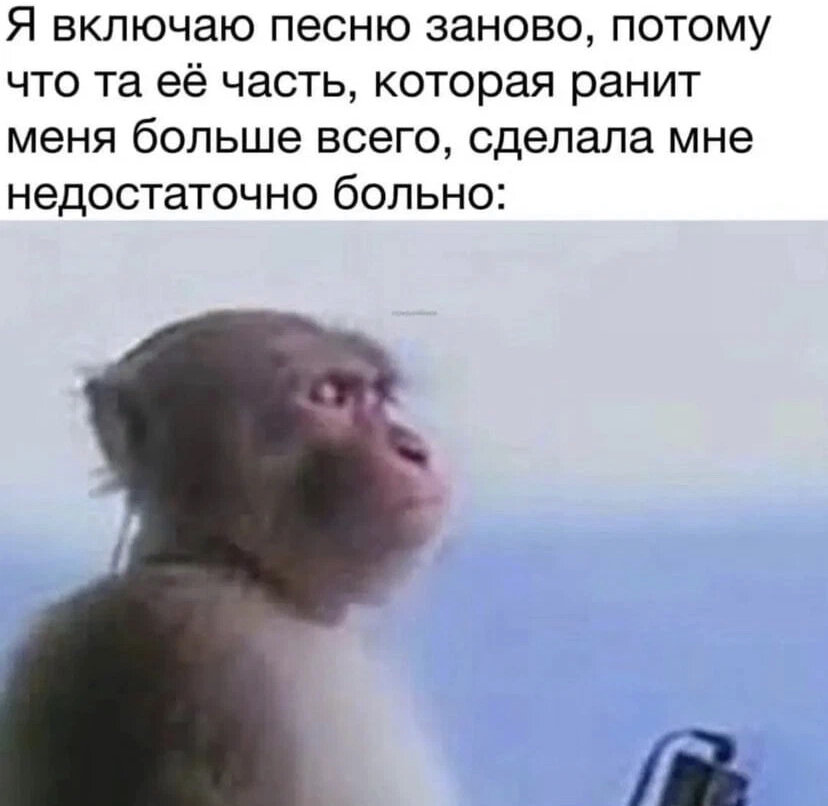 Вот что мы ищем в музыке ;) 