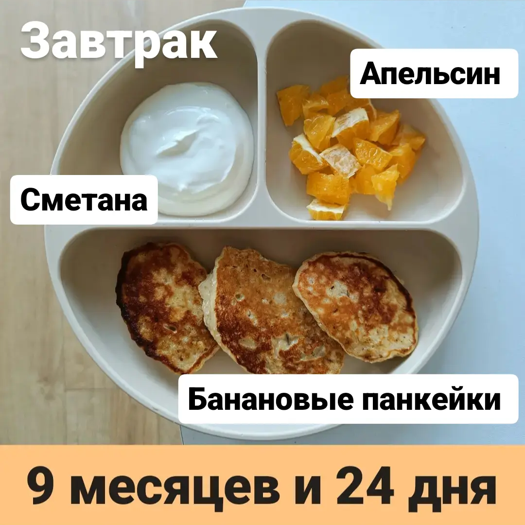 Пример тарелки в 9 месяцев 