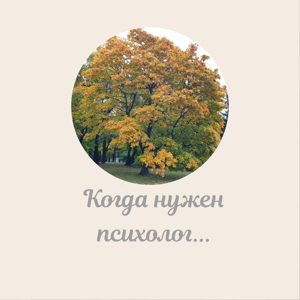 Ну что, пробежимся? 🏃

🔹️"Холодные"отношения с родителями, а чаще с мамой?
🔸️ Сложные отношения в коллективе, с одногруппниками?
🔹️Муж бьет?
🔸️Муж пьет?
🔹️Муж не понимает?
🔸️Жена не понимает?
🔹️Ребенок не хочет учиться?
🔸️Ребенок в гаджетах?
🔹️Свекровь или теща лезет не в свои дела, "вечно" настойчиво советует как и что сделать?
🔸️Не складываются отношения с партнером?
🔹️"Пропала" интимная близость?
🔸️Отношения развиваются по сценарию "грабли", каждый раз один и тот же сценарий?
🔹️Хроническая усталость?
🔸️Внутренняя агрессия?
🔹️Бессоница?
🔸️Все раздражает?
🔹️Чувство вины, ненужности?
🔸️Ничего не радует?
🔹️Нужна поддержка и понимание?
🔸️Избегаешь встреч с друзьями?
🔹️Пищевая "зависимость"? Зависимость отвредных привычек?
🔸️Нестабильный вес?
🔹️Чувство одиночества?
🔸️Постоянный рой тревожных мыслей?
🔹️Хронический стресс?
🔸️Созависимые отношения?
🔹️Любовный треугольник?
🔸️Партнер игроман?
🤔
 И это далеко не весь список👆
с чем можно обратиться к психологу.
И Вам помогут 🤗
Сейчас есть отличная возможность работать и по видеосвязи.
❓❓❓
Что лучше - кабинет или видеосвязь?
Нет однозначного ответа.
Зависит от запроса.
👇
Главное, начни ✊

Психолог это не мама 
Психолог не будет тебя ругать, делать за тебя выбор.
Психолог поможет разобраться, как фонарик в темном лесу 🌲🌲🔦🌲

Это сложная работа, прежде всего с собой. 
По ранам🩹 По боли 💊
Рана или заживает или гноится.
Поэтому нужно поработать, почистить и потерпеть 💪

И да, нужно знать: 
возможно вопрос  не решится за одну встречу.
И возможно даже за две.
И часто после сессии это не чувство легкости, а чувство раздумья, растерянности, вопросов...

Остались вопросы?
Пиши мне в личку, я постараюсь ответить 🤗