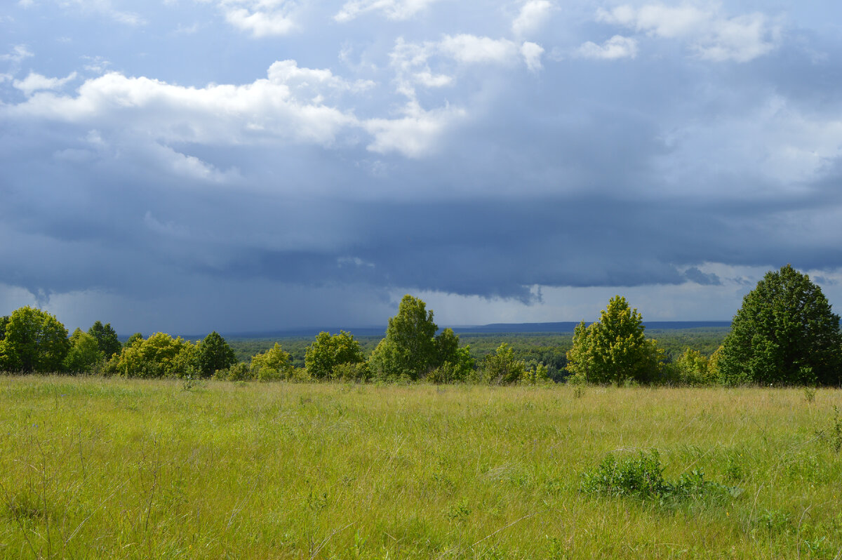 Скоро обрушится ливень. Фото автора