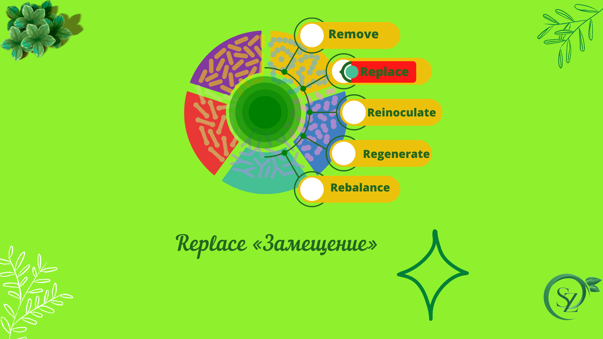  На этапе Replace «Замещение» Вместо вредных и опасных жителей нашего организма нужно растить полезных.