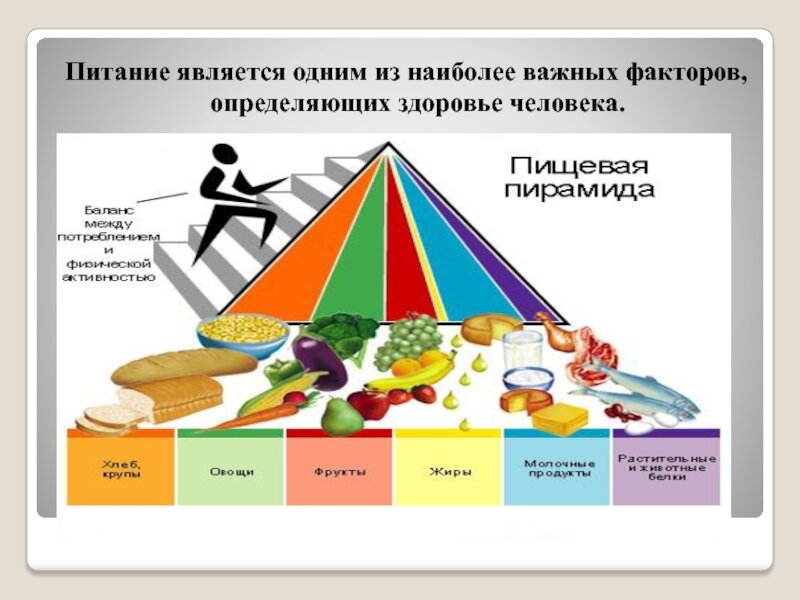 Питание и здоровье человека проект
