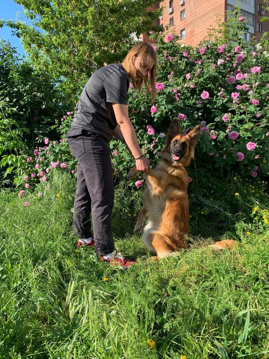 🍀 инструктор Дог-центра Виталия Гусева и 🦊 метис Дакота 🦊