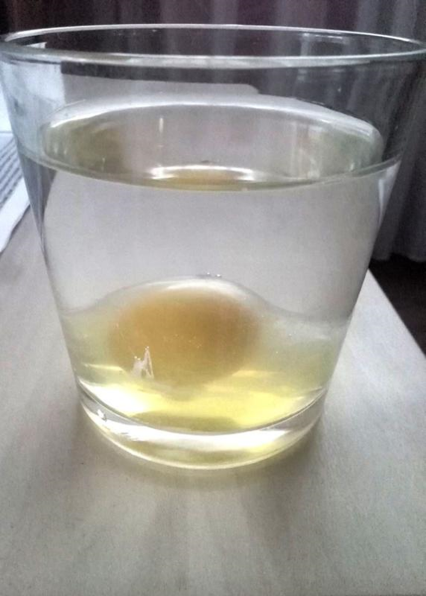 Снятие яйцом в воде. Яйцо в стакане с водой.
