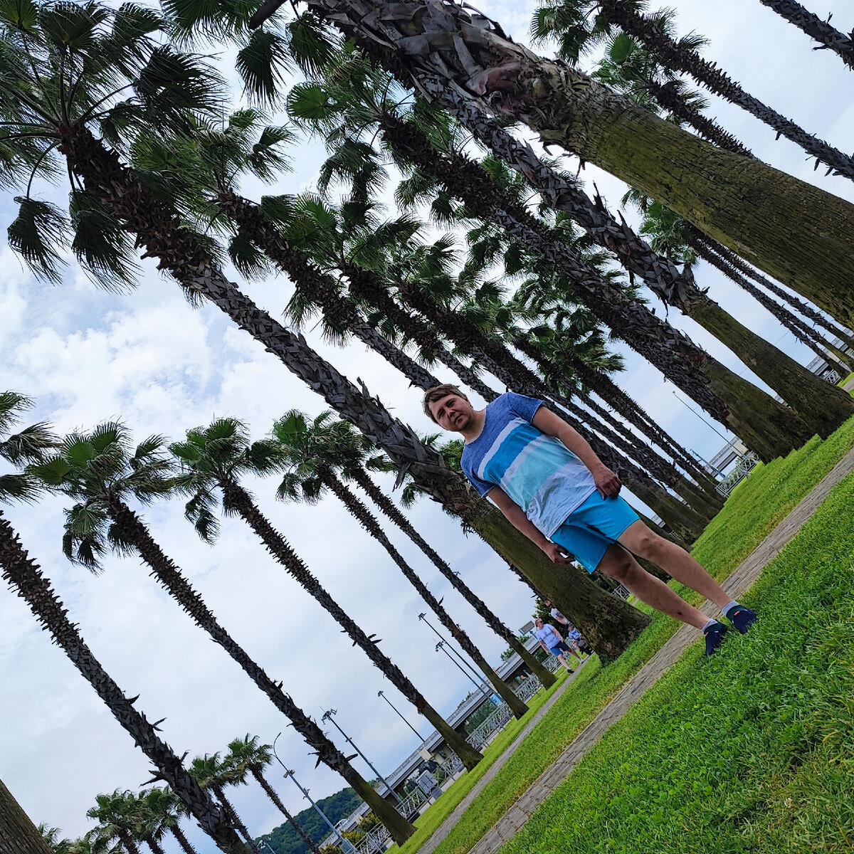 Аллея пальм