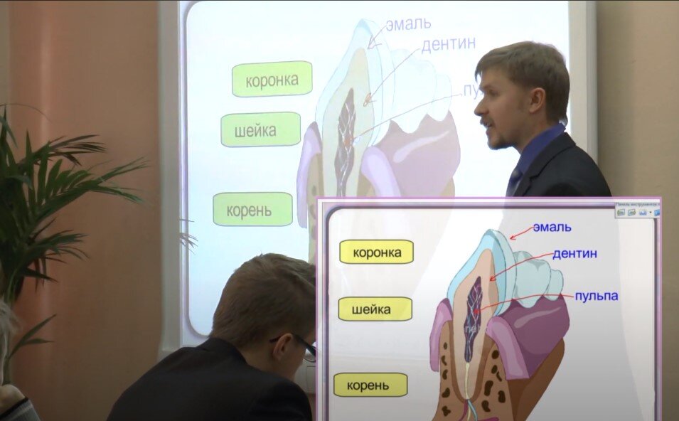 Интерактивная доска на уроке биологии