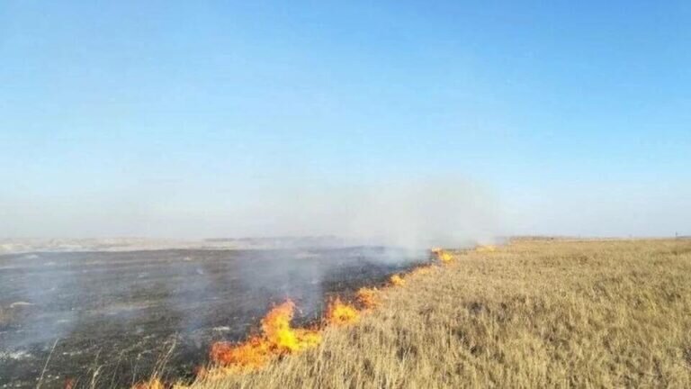    В Акбулакском районе 76 человек и 36 единиц техники тушат крупный природный пожар Кристина Просвиркина