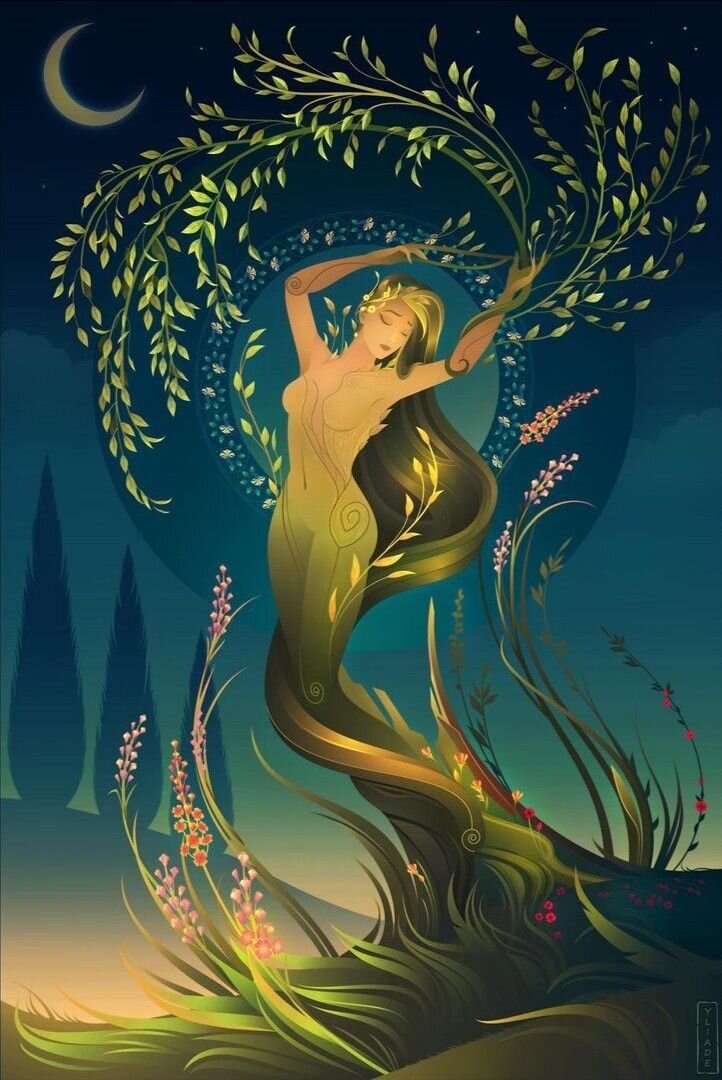 Дафна винкс. Нимфа дафна арт греция. Дафна винкс арт. Дафна винкс. Дафна дух винкс.