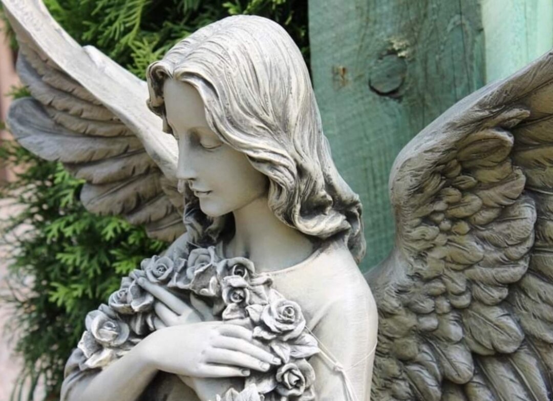 фотография из инета