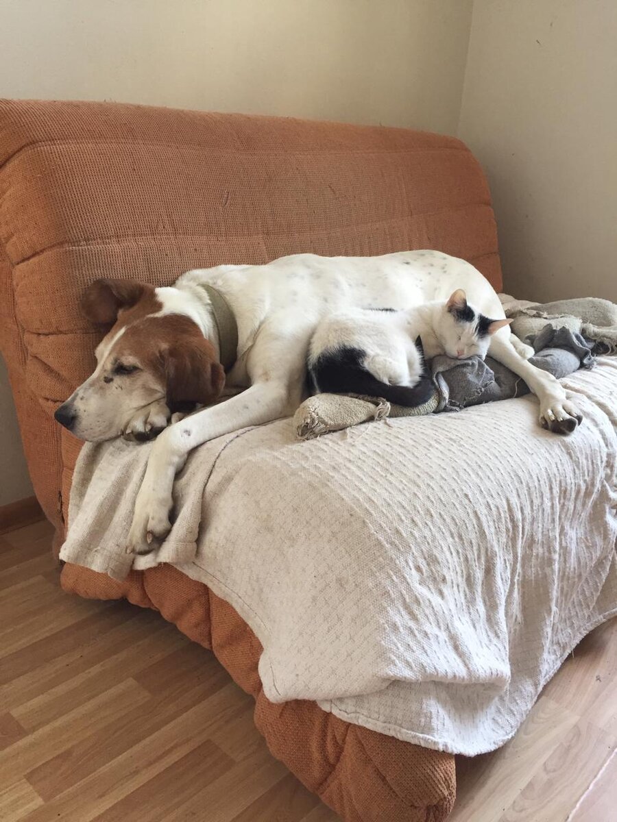 Артурка и Гоша 