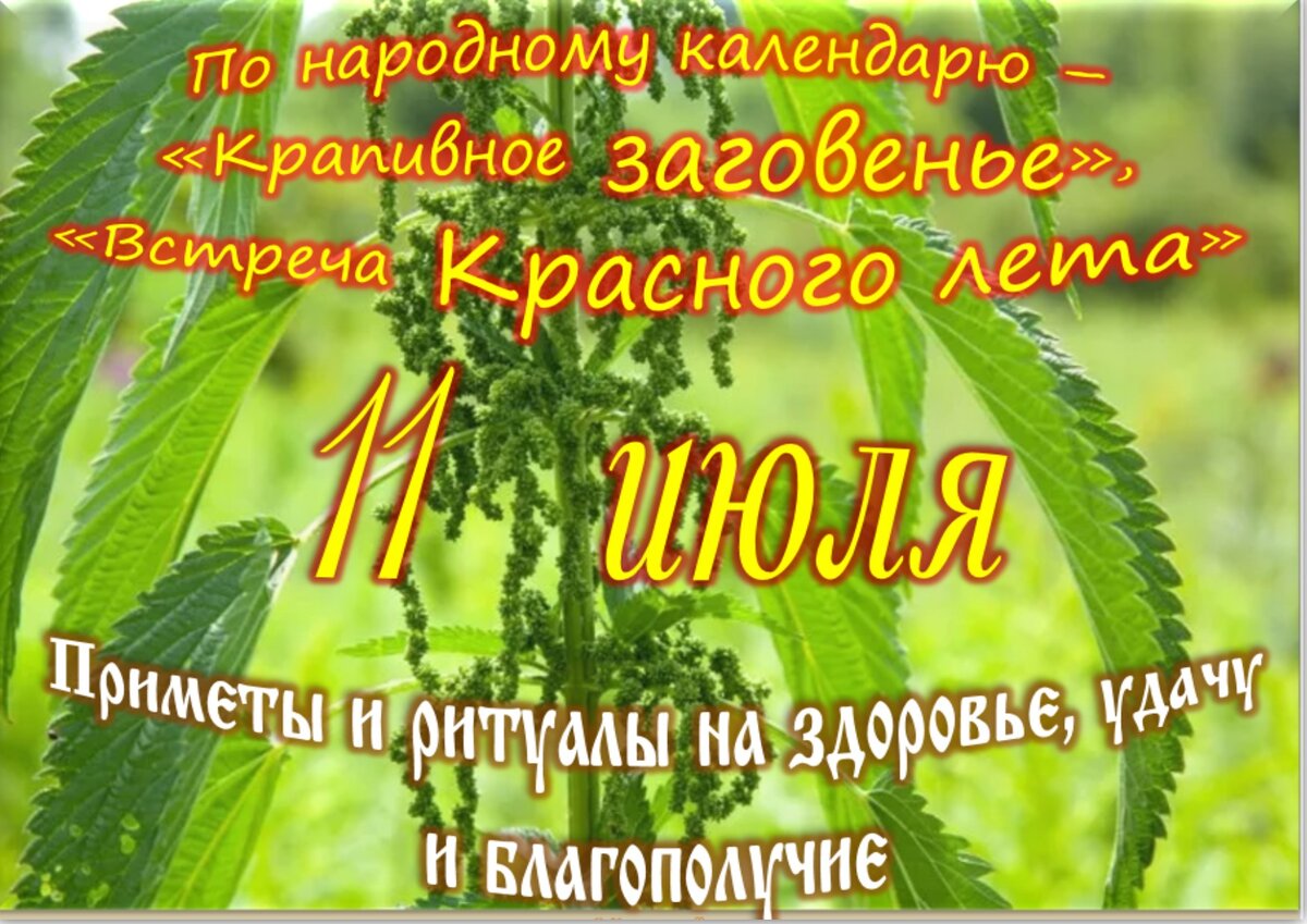 11 июля - Приметы, обычаи и ритуалы, традиции и поверья дня. Все праздники  дня во всех календарях. | Сергей Чарковский Все праздники | Дзен