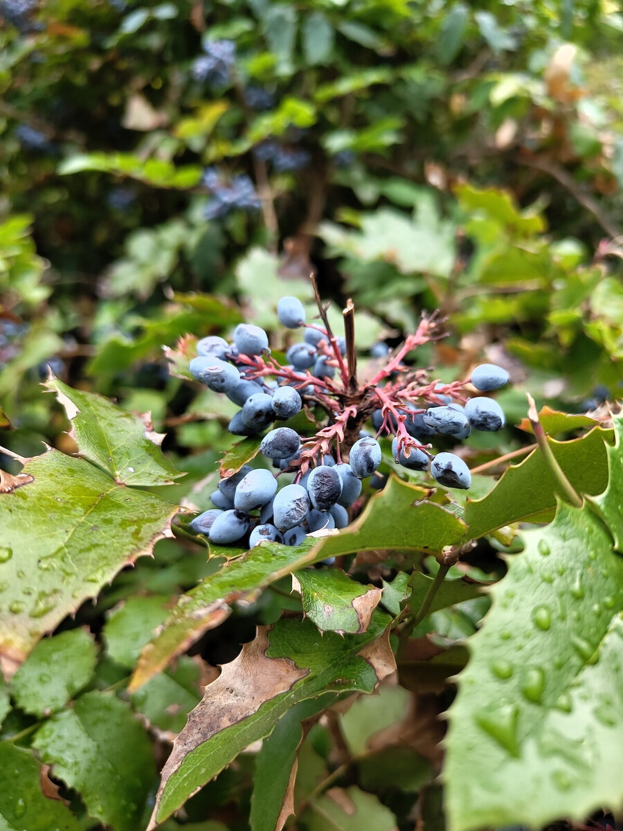    Камеру Nothing Phone (2) испытали в действии перед официальным анонсом