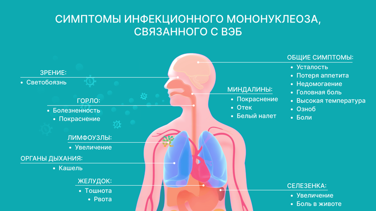 Лечение мононуклеоза у детей. Реноваскулярная артериальная гипертензия осложнения. Признаки низкого давления. Низкое давление симптомы. Признаки пониженного давления.