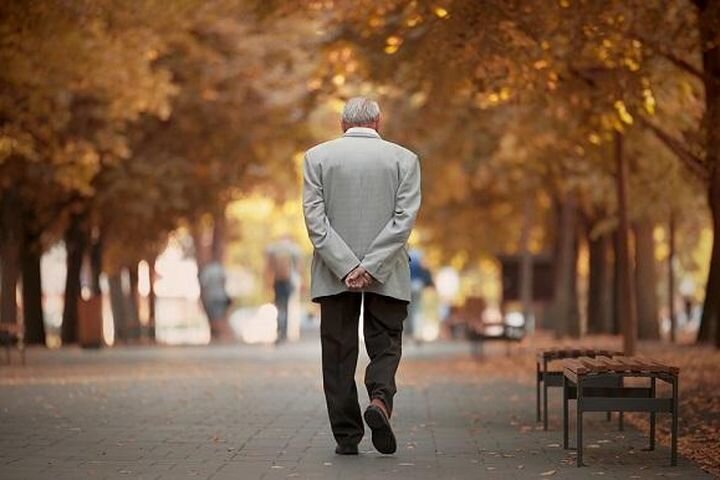 Из свободного доступа