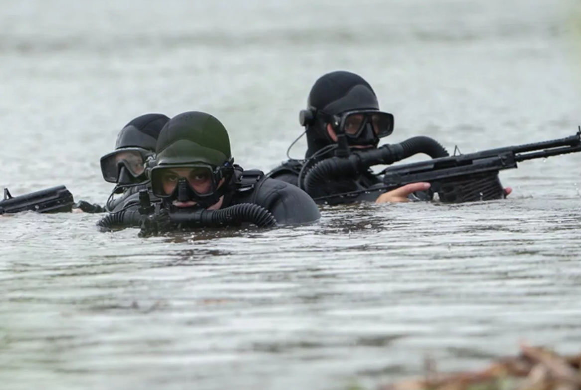 Отряд морские котики 2. Боевые пловцы ВМФ ПДСС. Спецназ ПДСС ВМФ России. ПДСС Каспийской флотилии. Отряд ПДСС Балтийского флота.