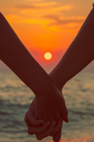 Фото из открытых источников интернета