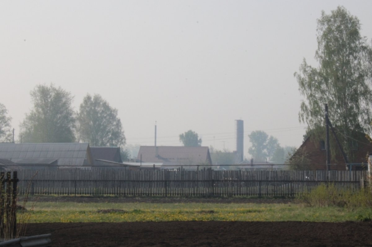    Роспотребнадзор отберёт пробы воздуха в Перми в связи с запахом гари