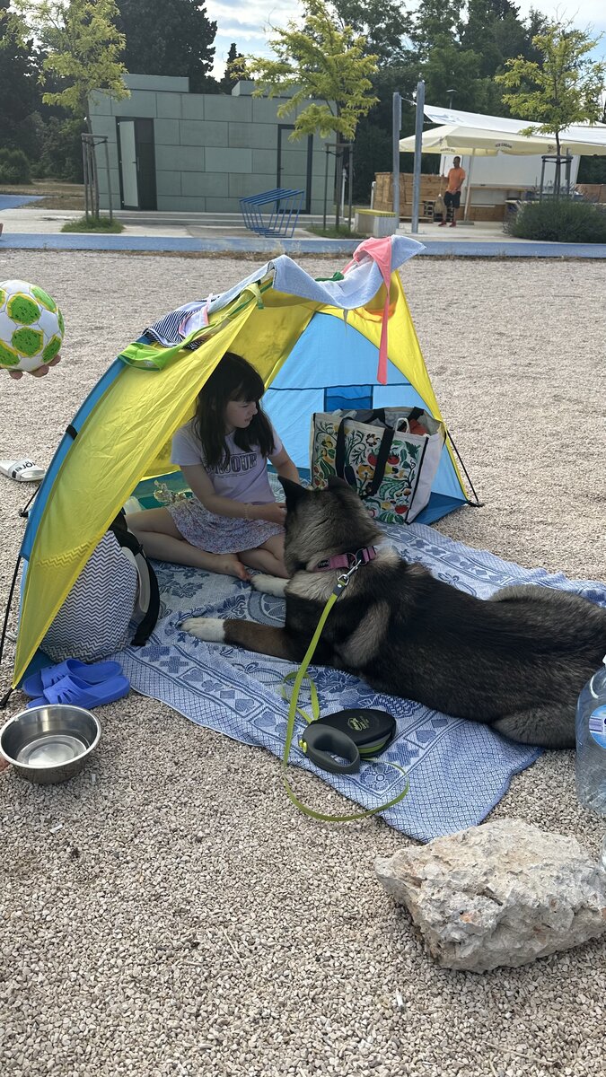 Мы еще палатку берем