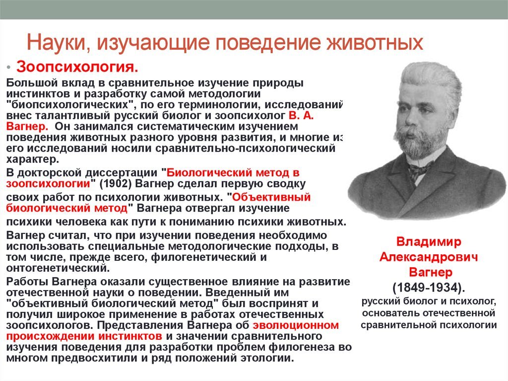 Наука изучающая поведение человека и животных. Наука изучающая поведение животных. ученые разрабатывающие проблемы зоопсихологии. основатель зоопсихологии. подходы к изучению поведения животных.