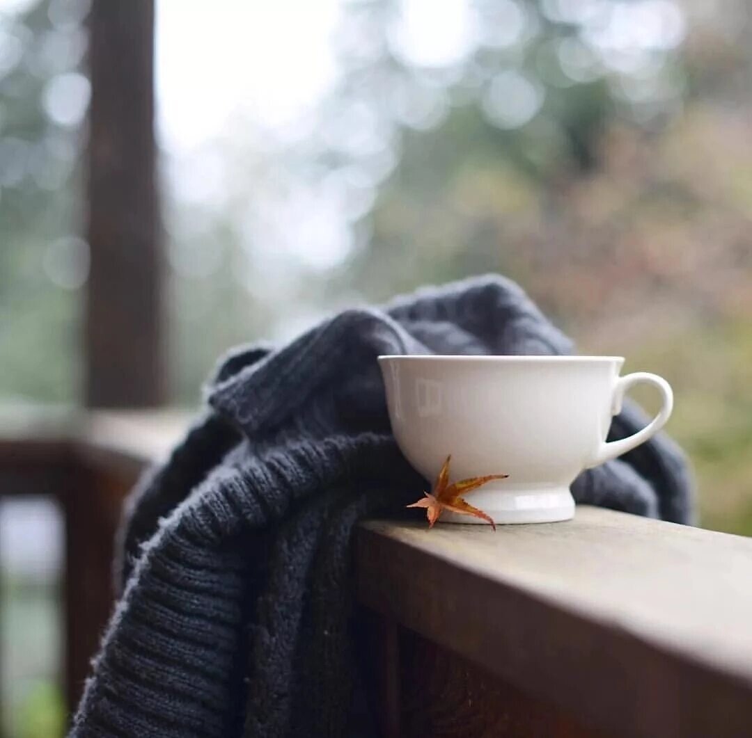 Фото из интернета 