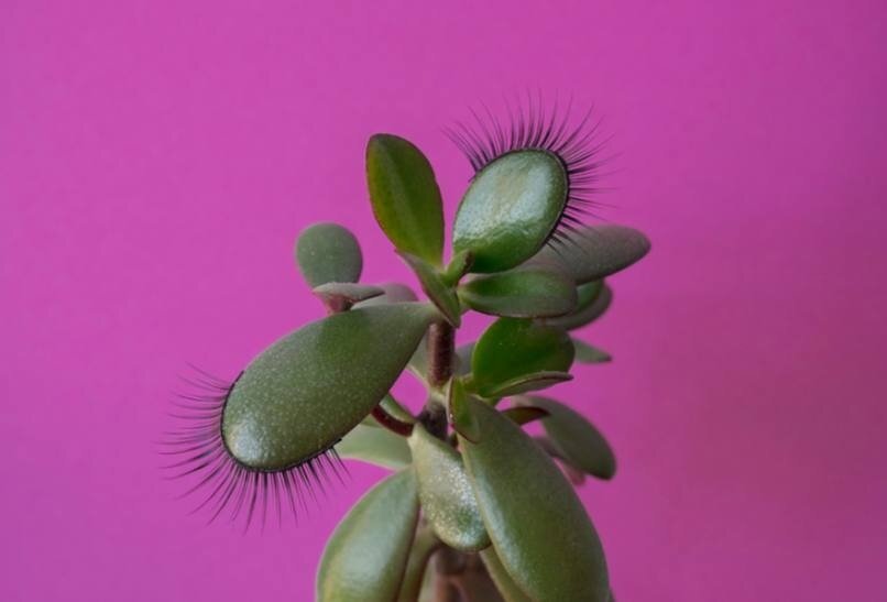 Тата Гориан. Фото: пресс-служба «Севкабель Порта»