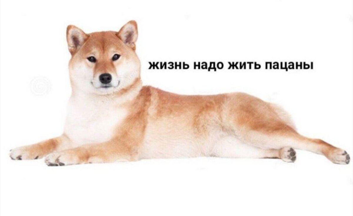 Отбросив попытки контролировать будущее, вы автоматически останетесь с тем, что есть – с моментом сейчас