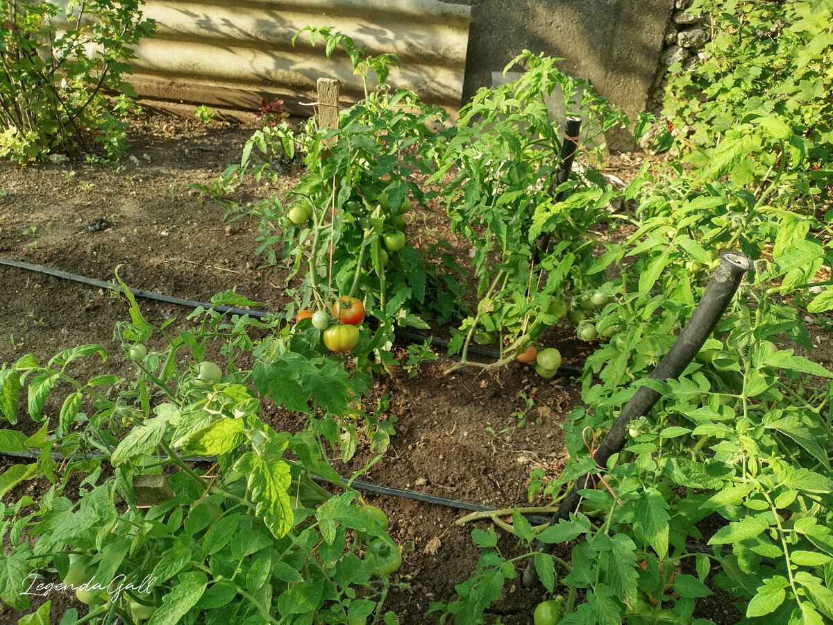 И ещё немного