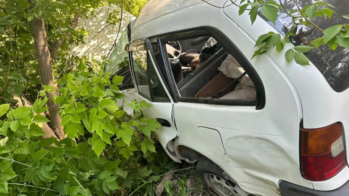 В Бердске водитель Toyota врезался в дерево и разбился | Весь Искитим | Дзен