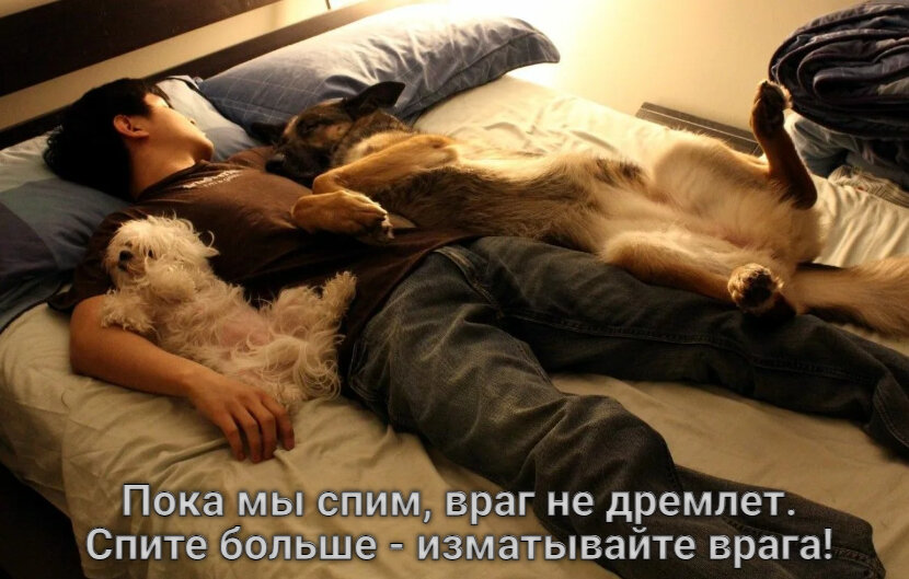 Смешных снов картинки прикольные