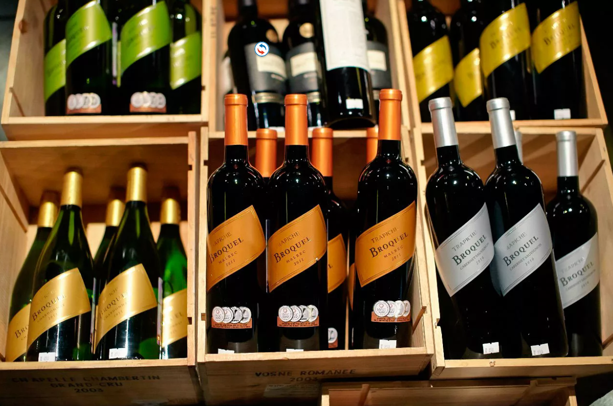 Argentina wine. лучшие аргентинские вина. вино мальбек новый свет. аргентинское вино. мальбек вино аргентина мендоса.