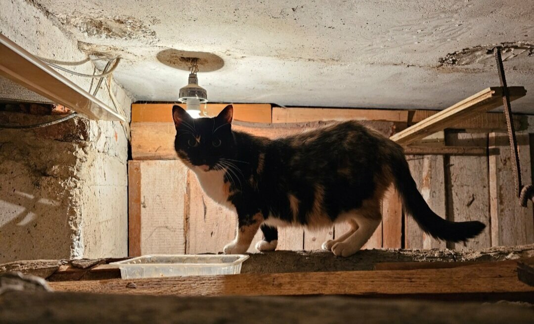 Это был ее дом