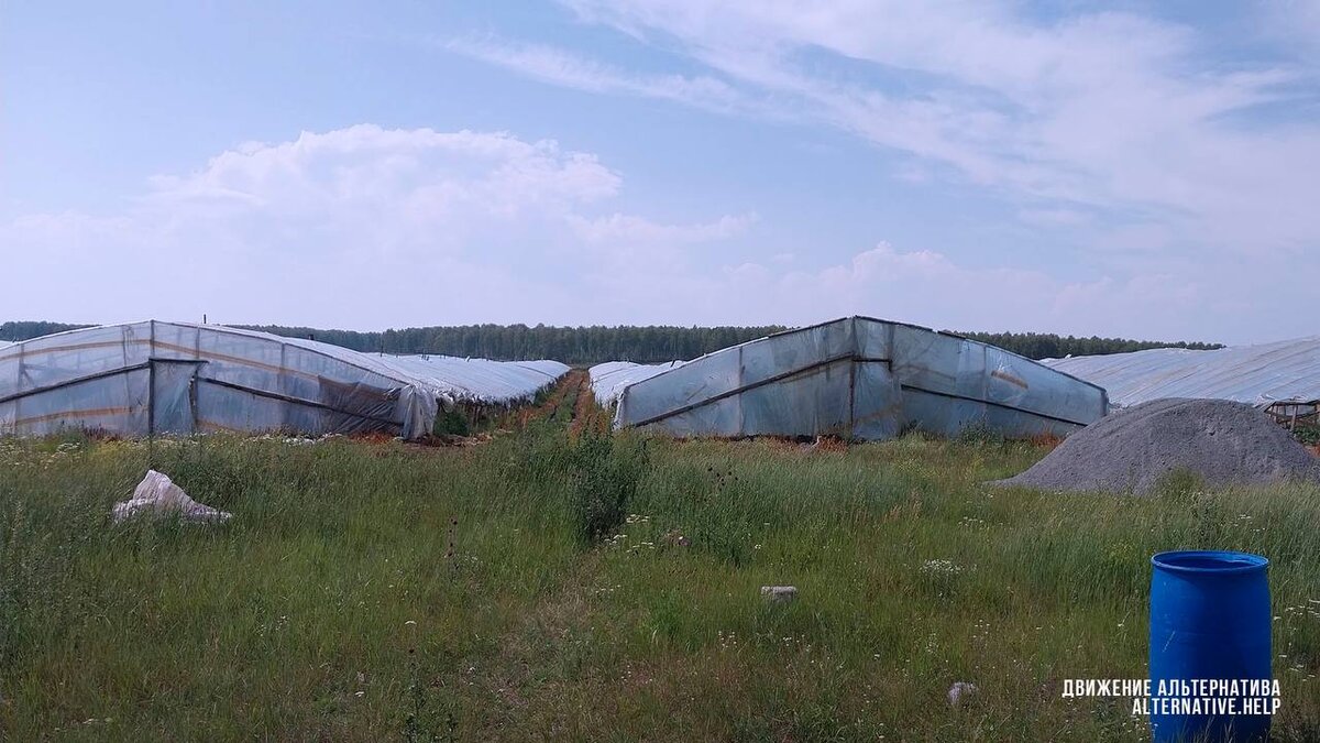 Таджикские теплицы расположены в Сосновском районе Челябинской области. Фото: t.me/alternative_help