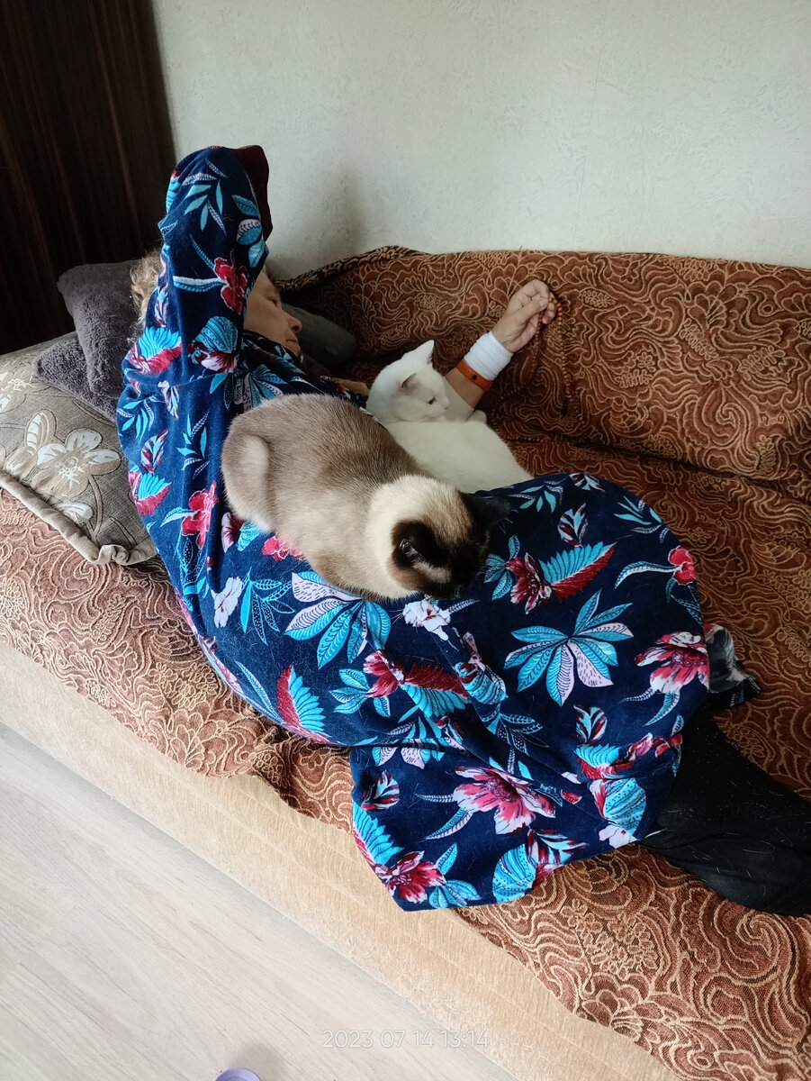 Фото автора