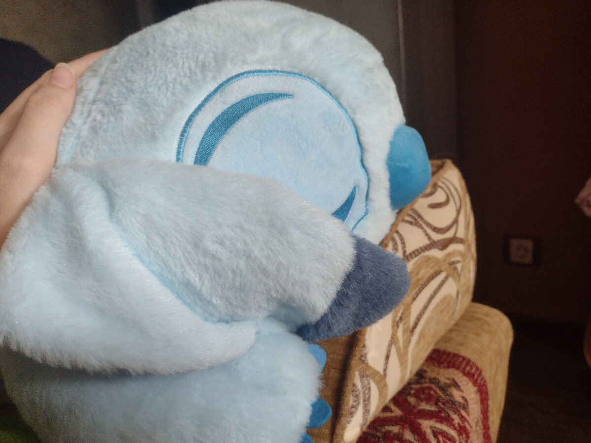 Ночью положено спать. Фото автора